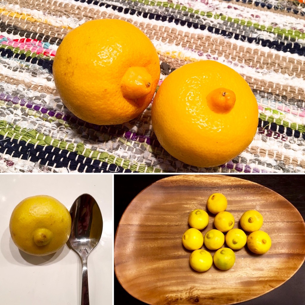 Citrons beldis en haut, limonette de marrackech en bas